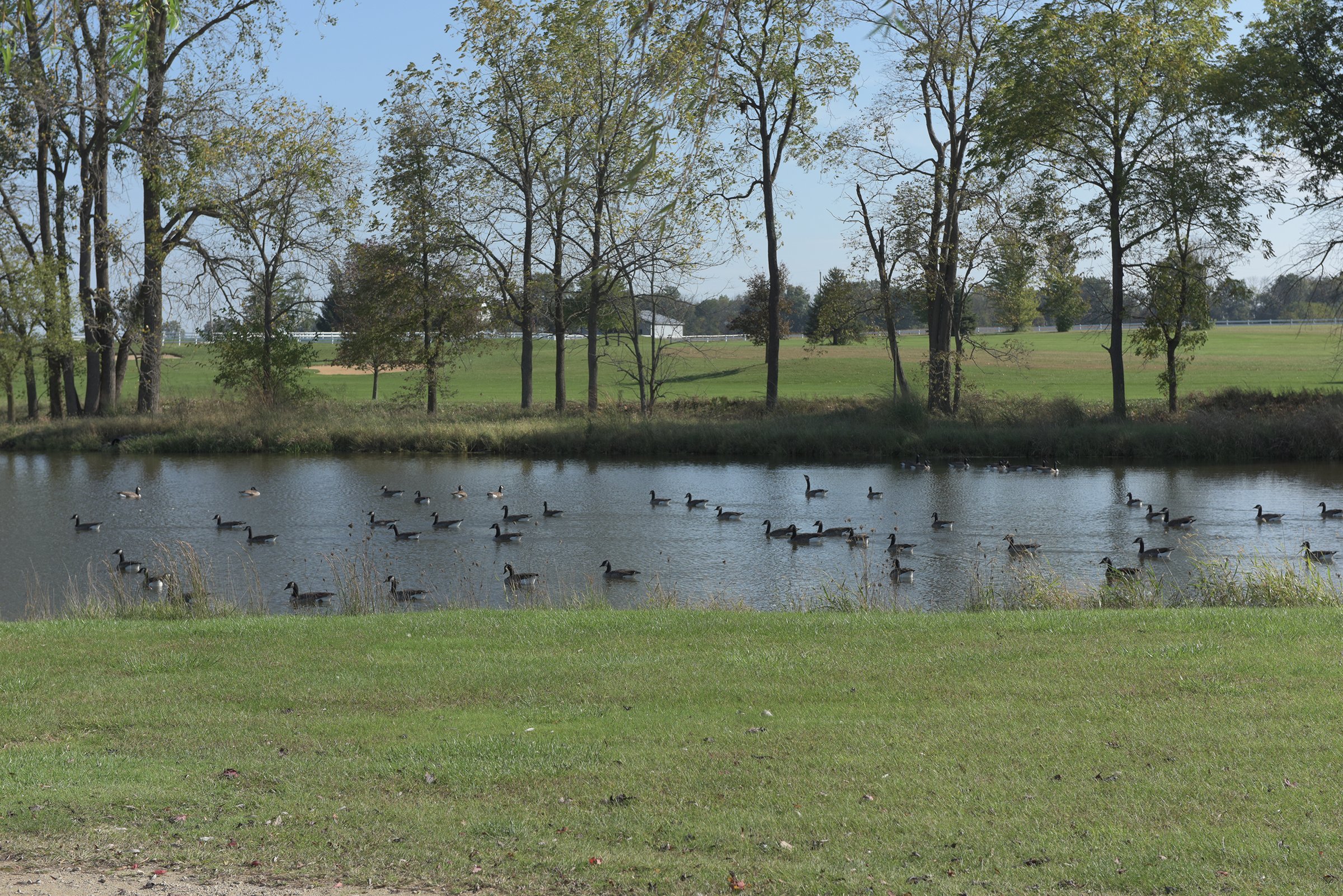 Property photo 71 - MAJOR LAND AUCTION - 251+/- ACRES IN 7 TRACTS - BEECHWOOD GOLF COURSE IN DARKE COUNTY, OHIO
