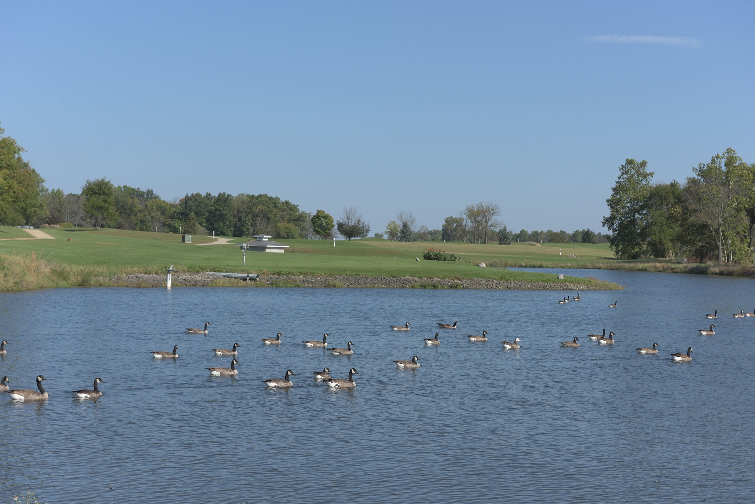 Property photo 101 - MAJOR LAND AUCTION - 251+/- ACRES IN 7 TRACTS - BEECHWOOD GOLF COURSE IN DARKE COUNTY, OHIO