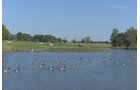 Property photo 101 - MAJOR LAND AUCTION - 251+/- ACRES IN 7 TRACTS - BEECHWOOD GOLF COURSE IN DARKE COUNTY, OHIO