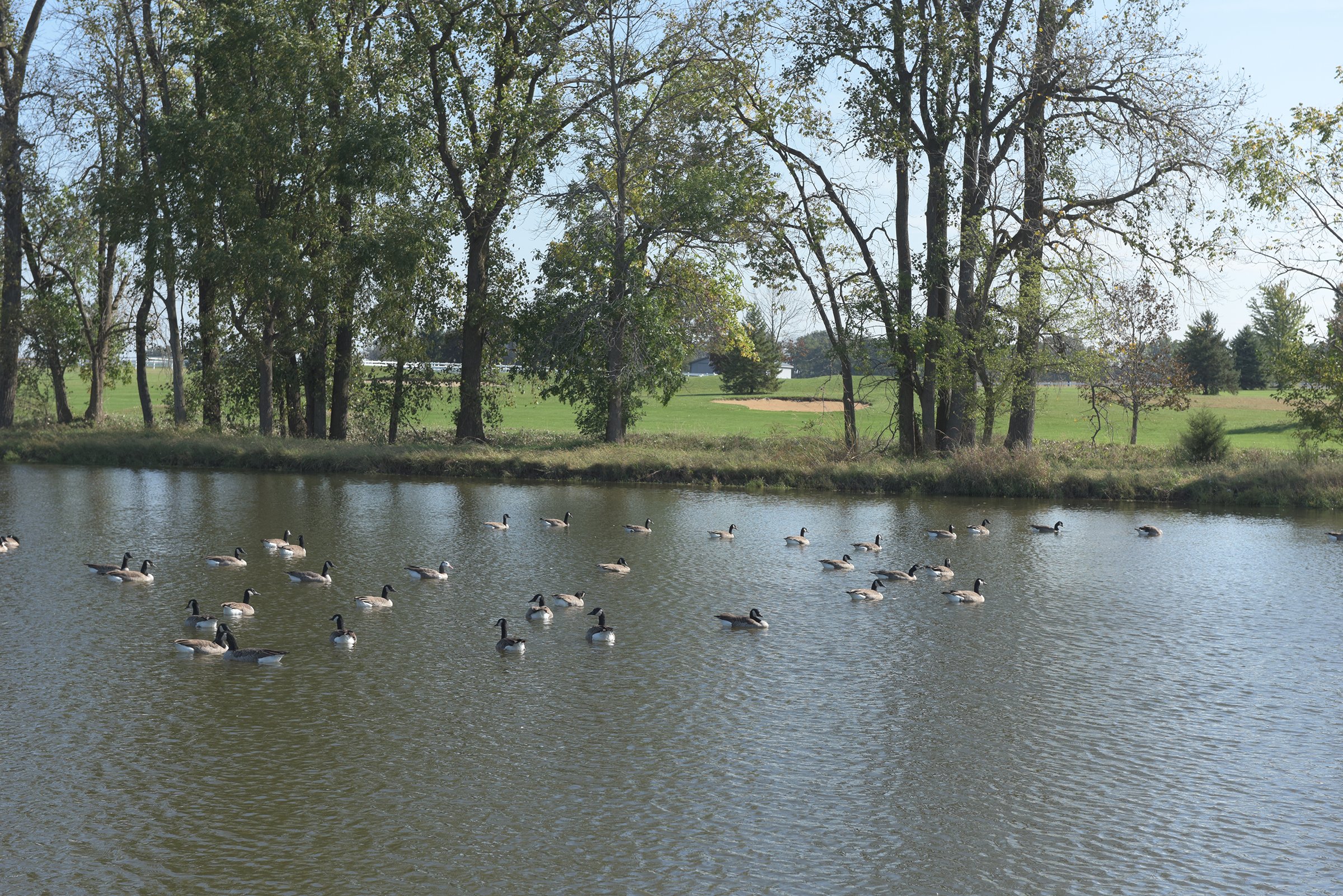 Property photo 42 - MAJOR LAND AUCTION - 251+/- ACRES IN 7 TRACTS - BEECHWOOD GOLF COURSE IN DARKE COUNTY, OHIO