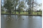 Property photo 42 - MAJOR LAND AUCTION - 251+/- ACRES IN 7 TRACTS - BEECHWOOD GOLF COURSE IN DARKE COUNTY, OHIO