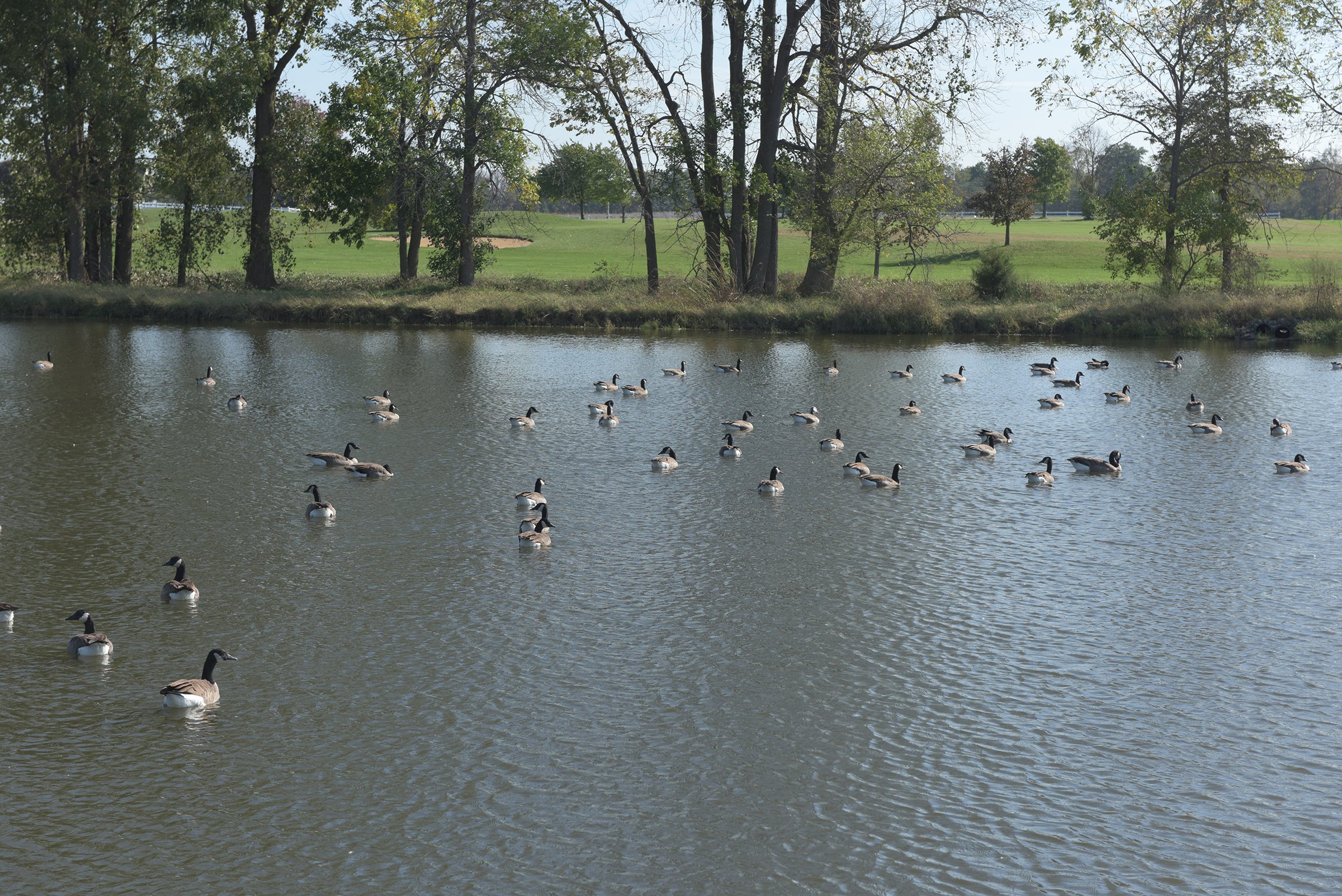 Property photo 60 - MAJOR LAND AUCTION - 251+/- ACRES IN 7 TRACTS - BEECHWOOD GOLF COURSE IN DARKE COUNTY, OHIO