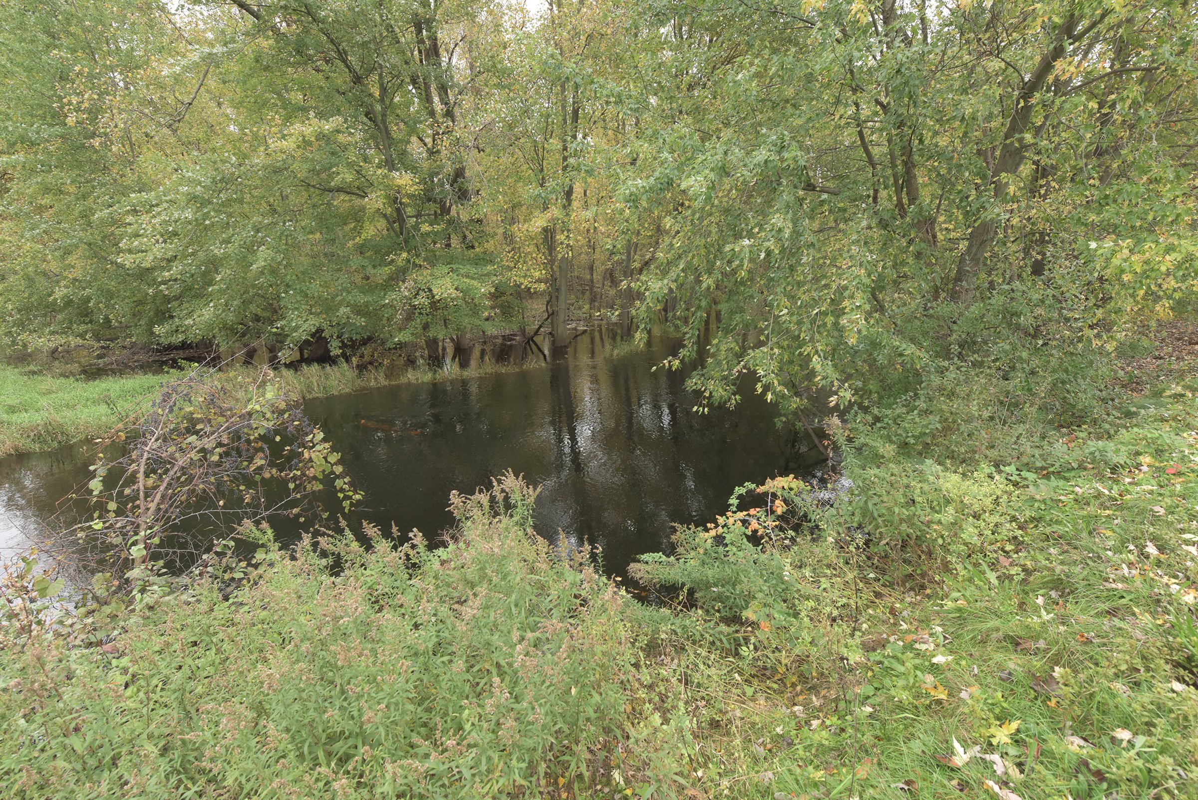 Property photo 63 - ROGUE RIVER GOLF CLUB AUCTION - 144+/- ACRES IN 13 TRACTS IN KENT COUNTY, MICHIGAN