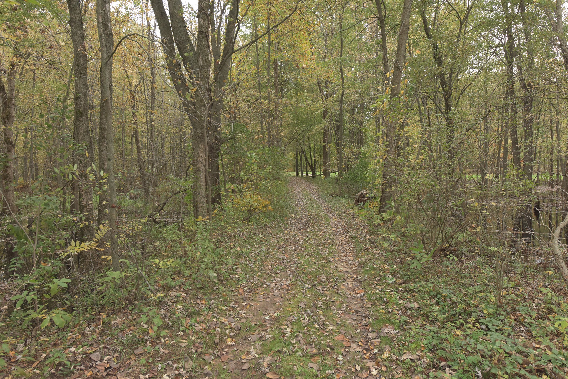 Property photo 60 - ROGUE RIVER GOLF CLUB AUCTION - 144+/- ACRES IN 13 TRACTS IN KENT COUNTY, MICHIGAN