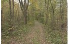 Property photo 60 - ROGUE RIVER GOLF CLUB AUCTION - 144+/- ACRES IN 13 TRACTS IN KENT COUNTY, MICHIGAN