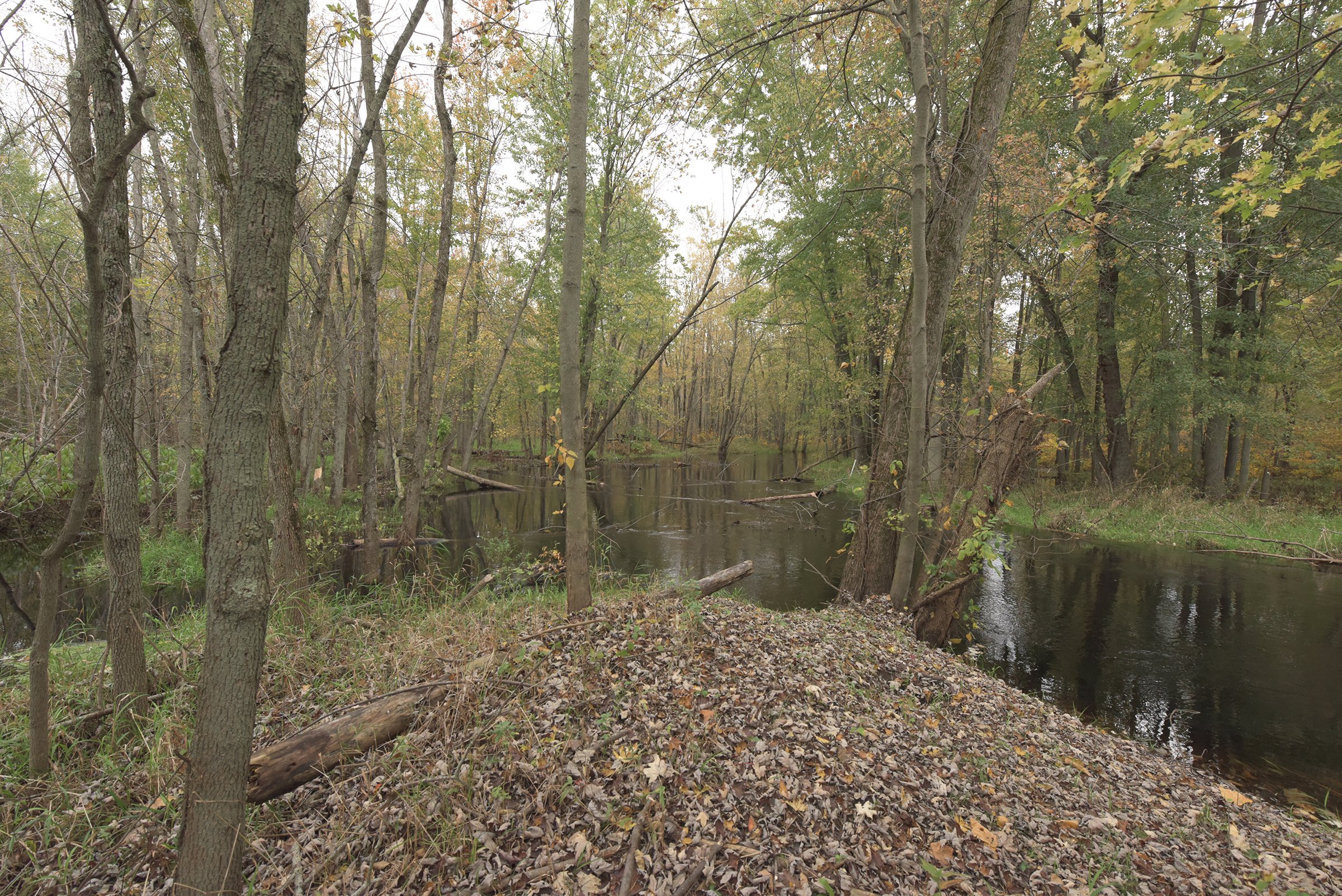 Property photo 68 - ROGUE RIVER GOLF CLUB AUCTION - 144+/- ACRES IN 13 TRACTS IN KENT COUNTY, MICHIGAN