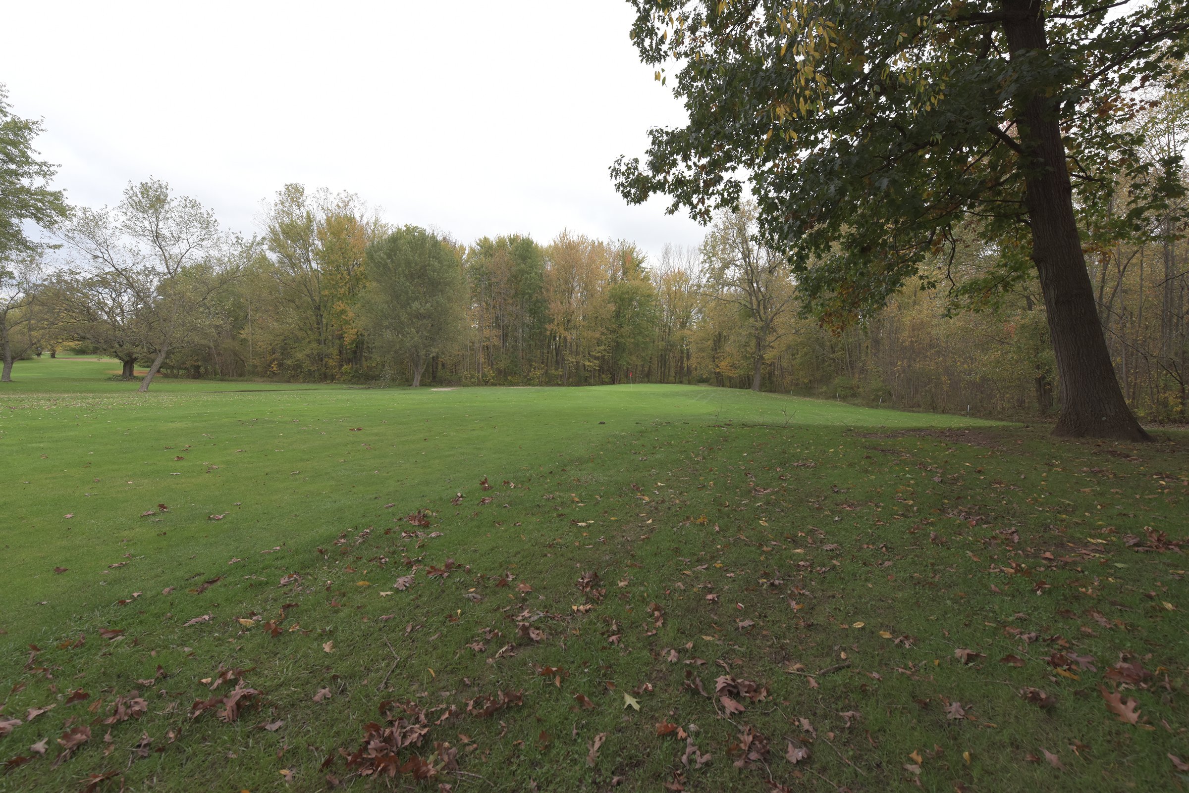 Property photo 40 - ROGUE RIVER GOLF CLUB AUCTION - 144+/- ACRES IN 13 TRACTS IN KENT COUNTY, MICHIGAN