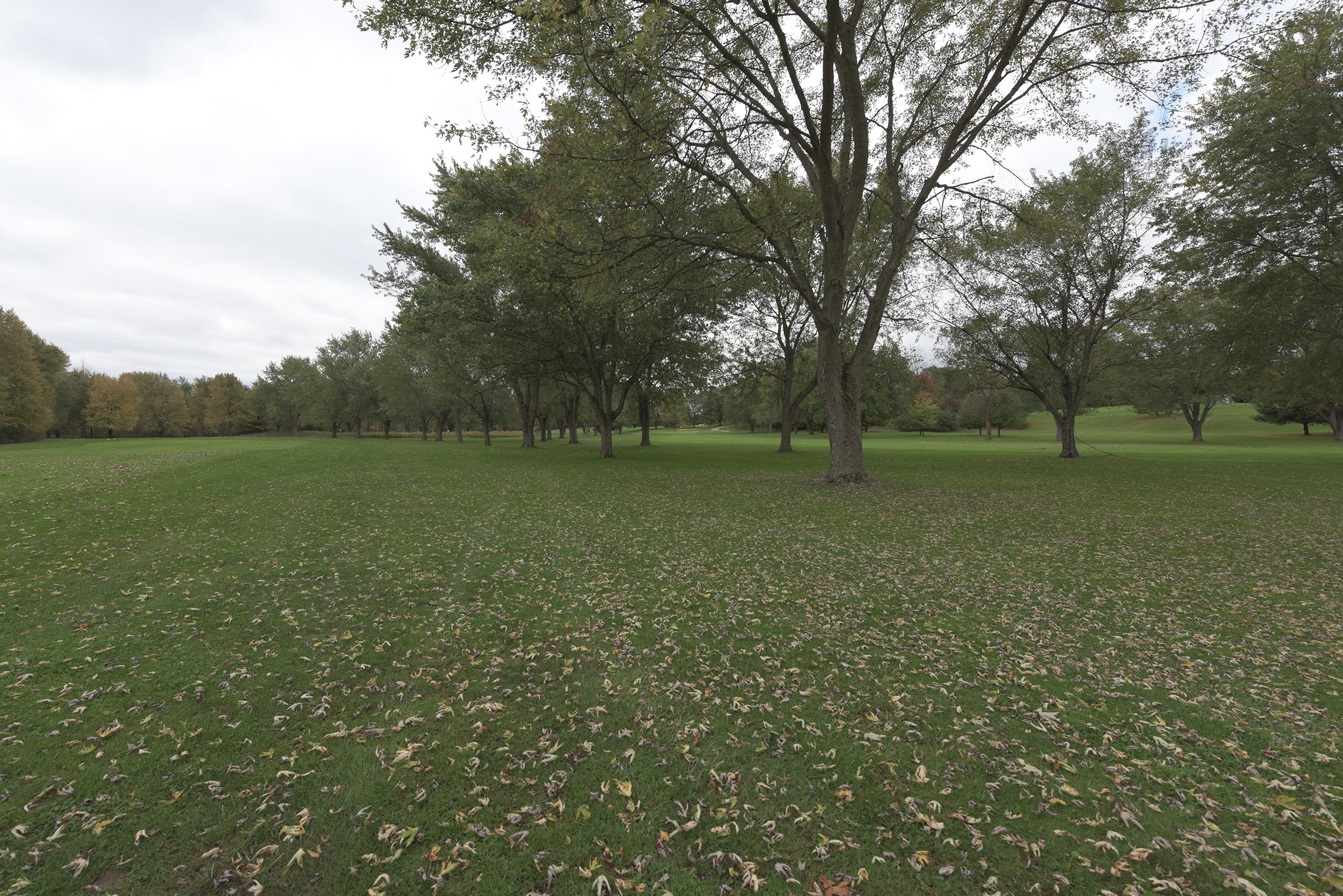 Property photo 43 - ROGUE RIVER GOLF CLUB AUCTION - 144+/- ACRES IN 13 TRACTS IN KENT COUNTY, MICHIGAN