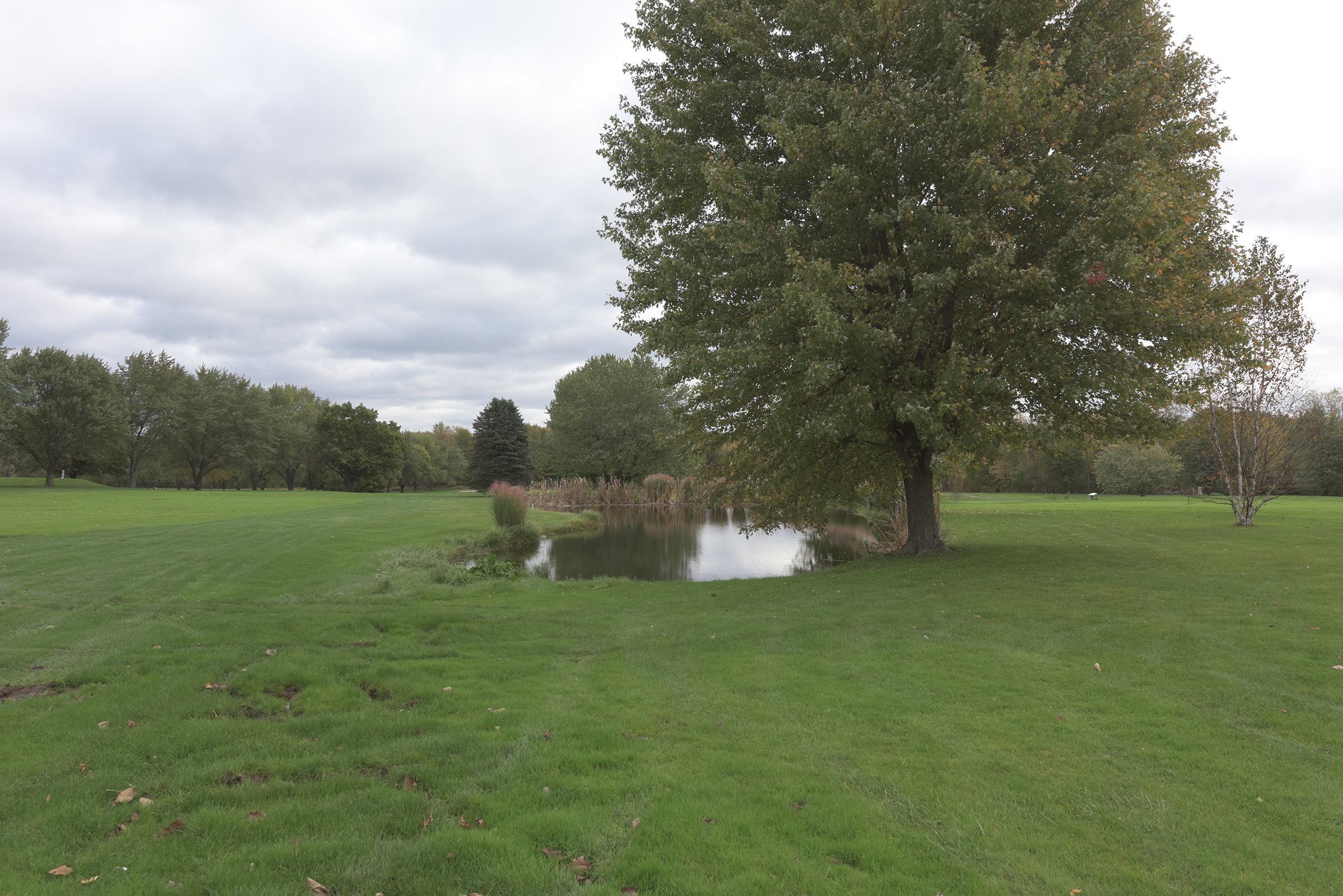 Property photo 46 - ROGUE RIVER GOLF CLUB AUCTION - 144+/- ACRES IN 13 TRACTS IN KENT COUNTY, MICHIGAN