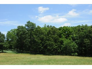Property photo 17 - REAL ESTATE AUCTION - 26.61+/- ACRES IN NOBLE COUNTY, INDIANA