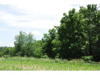 Property photo 25 - REAL ESTATE AUCTION - 26.61+/- ACRES IN NOBLE COUNTY, INDIANA