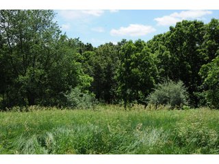 Property photo 20 - REAL ESTATE AUCTION - 26.61+/- ACRES IN NOBLE COUNTY, INDIANA