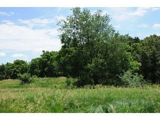 Property photo 15 - REAL ESTATE AUCTION - 26.61+/- ACRES IN NOBLE COUNTY, INDIANA