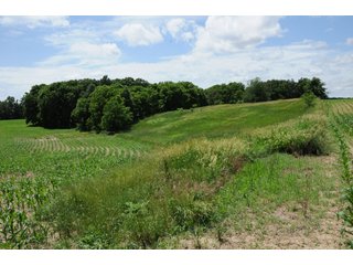 Property photo 19 - REAL ESTATE AUCTION - 26.61+/- ACRES IN NOBLE COUNTY, INDIANA