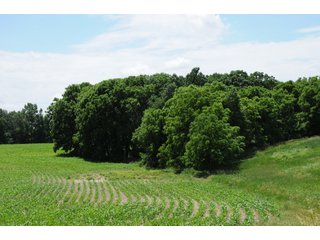 Property photo 24 - REAL ESTATE AUCTION - 26.61+/- ACRES IN NOBLE COUNTY, INDIANA