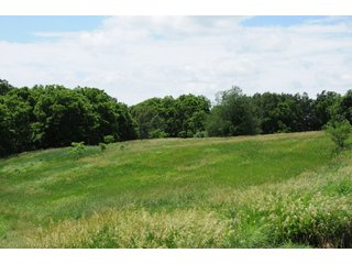 Property photo 31 - REAL ESTATE AUCTION - 26.61+/- ACRES IN NOBLE COUNTY, INDIANA