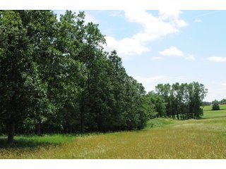 Property photo 28 - REAL ESTATE AUCTION - 26.61+/- ACRES IN NOBLE COUNTY, INDIANA