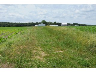 Property photo 29 - REAL ESTATE AUCTION - 26.61+/- ACRES IN NOBLE COUNTY, INDIANA