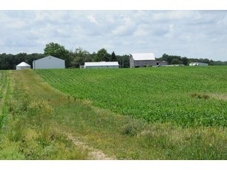 Property photo 27 - REAL ESTATE AUCTION - 26.61+/- ACRES IN NOBLE COUNTY, INDIANA