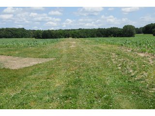 Property photo 21 - REAL ESTATE AUCTION - 26.61+/- ACRES IN NOBLE COUNTY, INDIANA