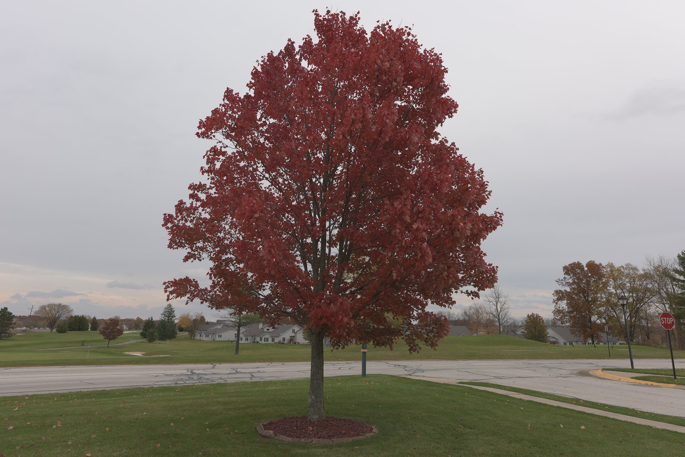 Property photo 9 - REAL ESTATE AUCTION IN WHITLEY COUNTY, INDIANA