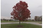 Property photo 9 - REAL ESTATE AUCTION IN WHITLEY COUNTY, INDIANA