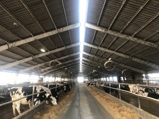 Property photo 18 - OHIO DAIRY AUCTION - 193+/- ACRES IN 4 TRACTS IN PUTNAM COUNTY, OHIO