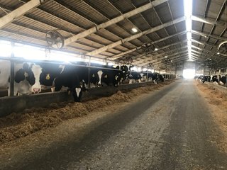 Property photo 15 - OHIO DAIRY AUCTION - 193+/- ACRES IN 4 TRACTS IN PUTNAM COUNTY, OHIO