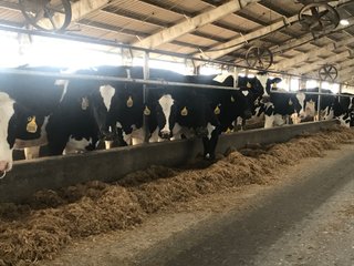 Property photo 23 - OHIO DAIRY AUCTION - 193+/- ACRES IN 4 TRACTS IN PUTNAM COUNTY, OHIO