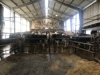 Property photo 29 - OHIO DAIRY AUCTION - 193+/- ACRES IN 4 TRACTS IN PUTNAM COUNTY, OHIO