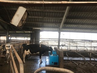 Property photo 27 - OHIO DAIRY AUCTION - 193+/- ACRES IN 4 TRACTS IN PUTNAM COUNTY, OHIO