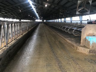 Property photo 19 - OHIO DAIRY AUCTION - 193+/- ACRES IN 4 TRACTS IN PUTNAM COUNTY, OHIO