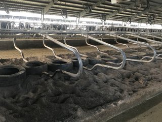 Property photo 17 - OHIO DAIRY AUCTION - 193+/- ACRES IN 4 TRACTS IN PUTNAM COUNTY, OHIO