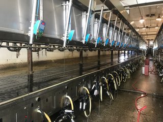 Property photo 12 - OHIO DAIRY AUCTION - 193+/- ACRES IN 4 TRACTS IN PUTNAM COUNTY, OHIO