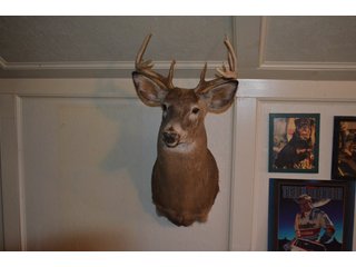 Property photo 291 - MAJOR ESTATE AUCTION IN ALLEN COUNTY, INDIANA