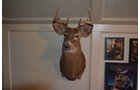 Property photo 291 - MAJOR ESTATE AUCTION IN ALLEN COUNTY, INDIANA