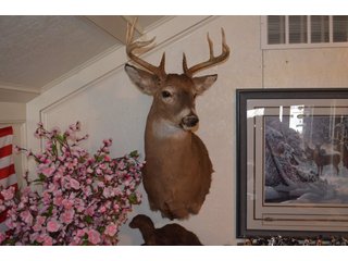 Property photo 290 - MAJOR ESTATE AUCTION IN ALLEN COUNTY, INDIANA