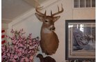 Property photo 290 - MAJOR ESTATE AUCTION IN ALLEN COUNTY, INDIANA