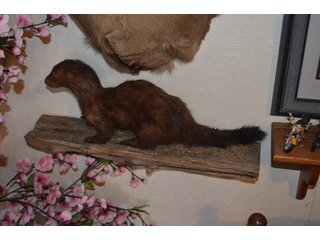 Property photo 289 - MAJOR ESTATE AUCTION IN ALLEN COUNTY, INDIANA