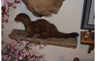 Property photo 289 - MAJOR ESTATE AUCTION IN ALLEN COUNTY, INDIANA