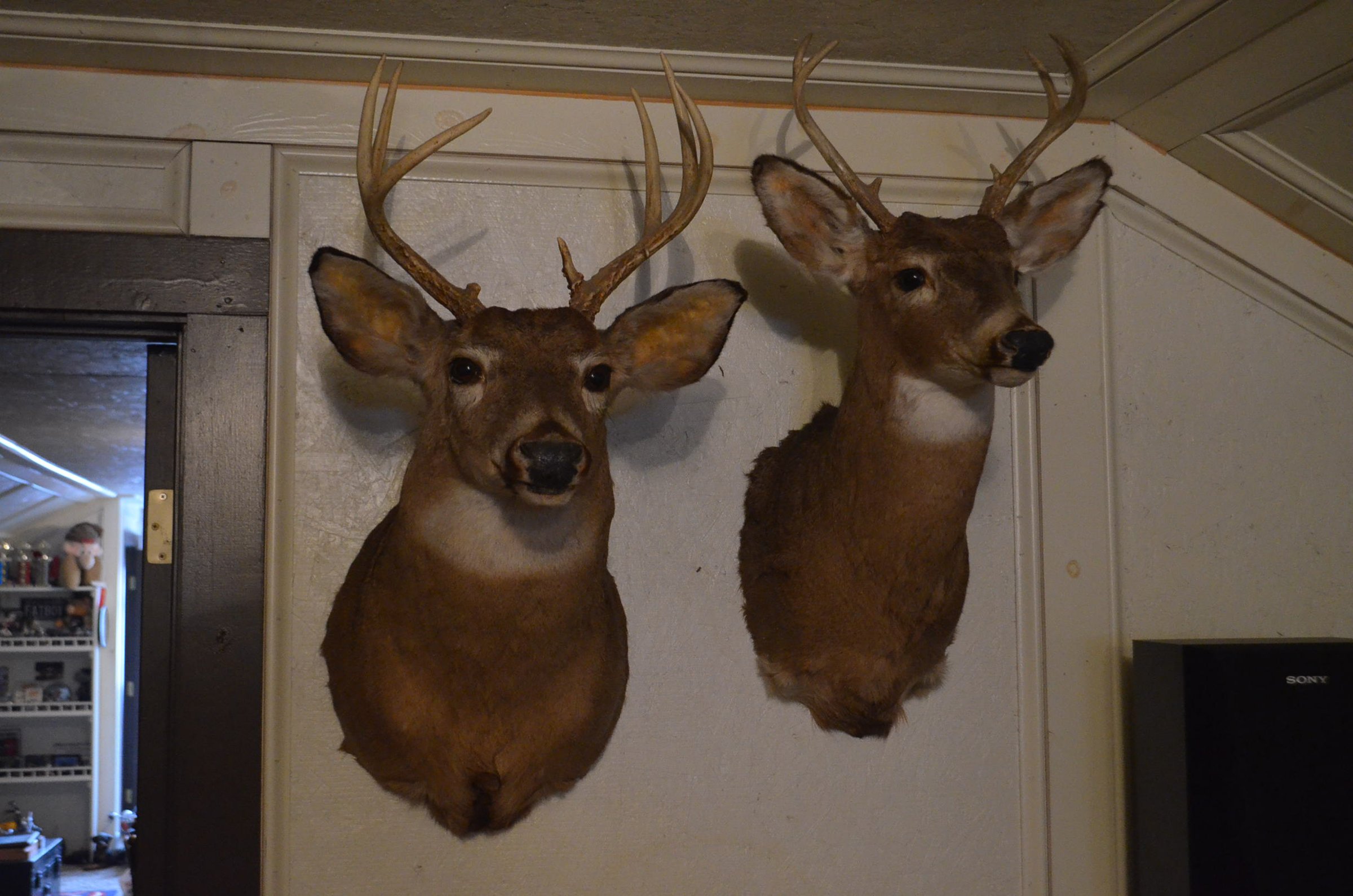 Property photo 293 - MAJOR ESTATE AUCTION IN ALLEN COUNTY, INDIANA