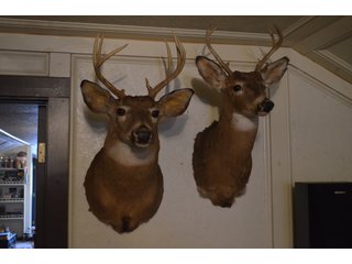 Property photo 293 - MAJOR ESTATE AUCTION IN ALLEN COUNTY, INDIANA