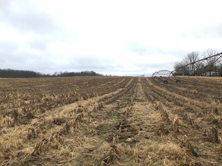 FARM 1 - LAND AUCTION - 151+/- ACRES OFFERED IN 11 TRACTS IN STEUBEN COUNTY, INDIANA