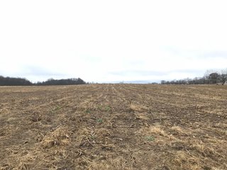 FARM 1 - LAND AUCTION - 151+/- ACRES OFFERED IN 11 TRACTS IN STEUBEN COUNTY, INDIANA