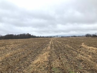 FARM 1 - LAND AUCTION - 151+/- ACRES OFFERED IN 11 TRACTS IN STEUBEN COUNTY, INDIANA