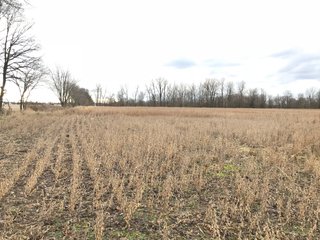 FARM 2 - LAND AUCTION - 151+/- ACRES OFFERED IN 11 TRACTS IN STEUBEN COUNTY, INDIANA