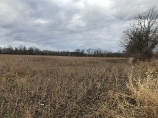 FARM 2 - LAND AUCTION - 151+/- ACRES OFFERED IN 11 TRACTS IN STEUBEN COUNTY, INDIANA