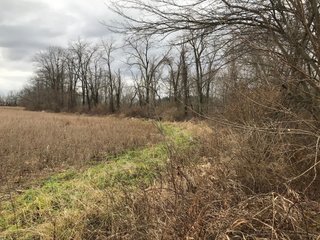 FARM 2 - LAND AUCTION - 151+/- ACRES OFFERED IN 11 TRACTS IN STEUBEN COUNTY, INDIANA