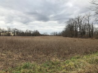 FARM 2 - LAND AUCTION - 151+/- ACRES OFFERED IN 11 TRACTS IN STEUBEN COUNTY, INDIANA