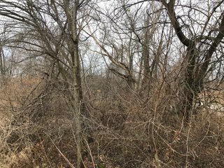 FARM 2 - LAND AUCTION - 151+/- ACRES OFFERED IN 11 TRACTS IN STEUBEN COUNTY, INDIANA